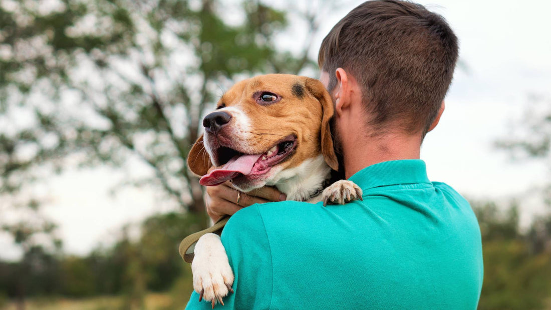 10 Ways to Show Your Dog You Love Them