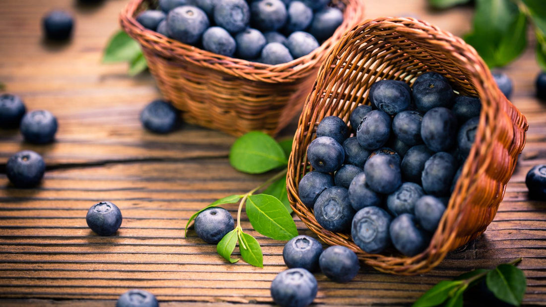 Can Dogs Eat Blueberries?