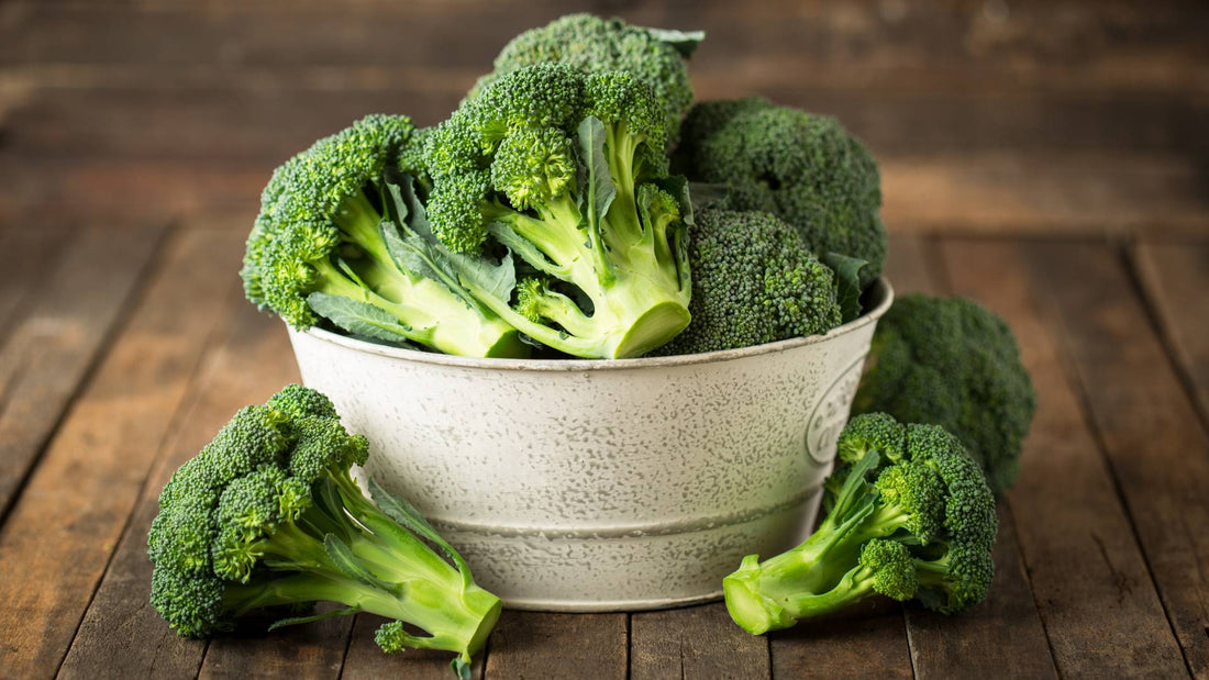 Can Dogs Eat Broccoli