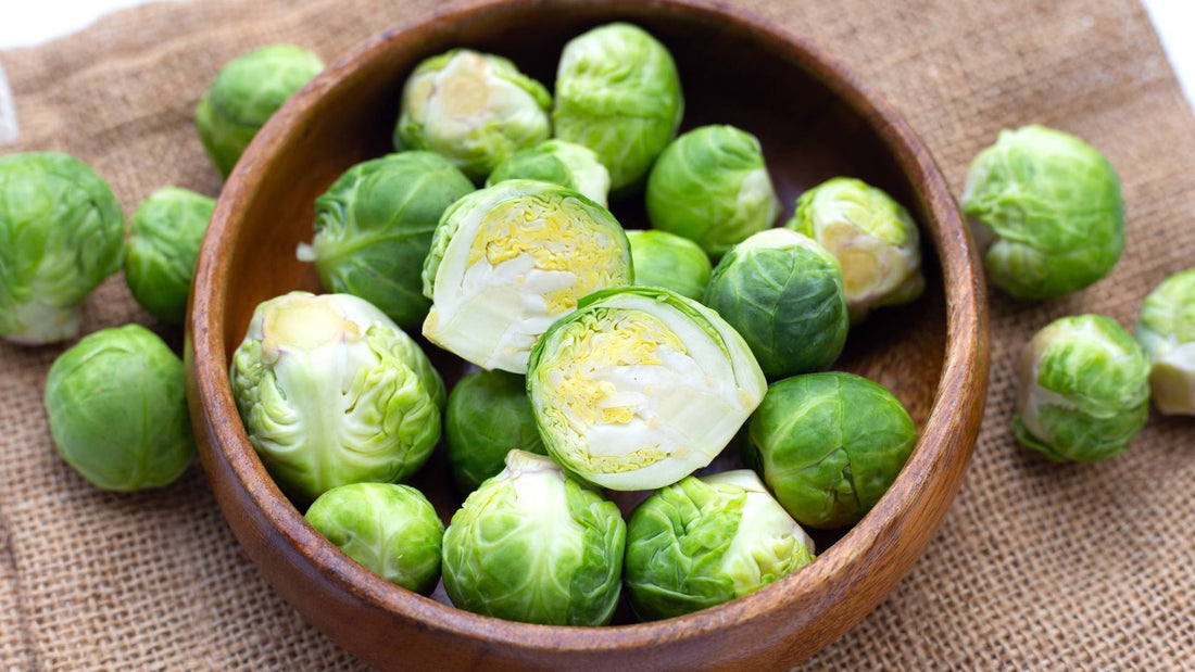 Can Dogs Eat Brussel Sprouts