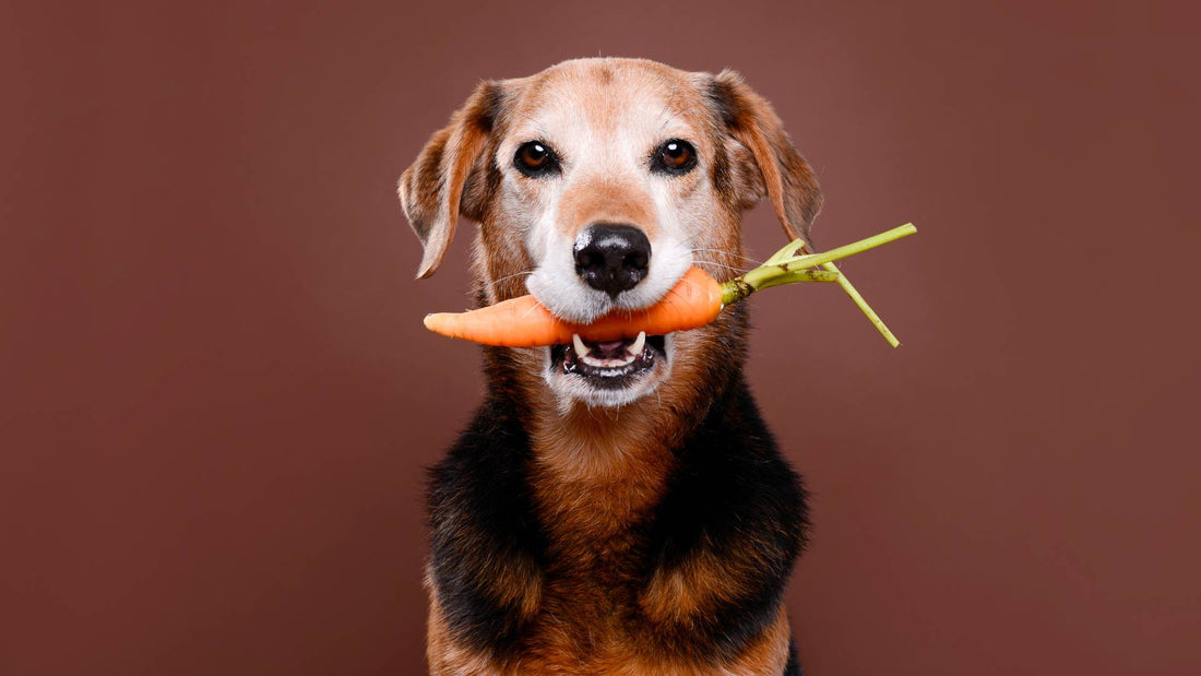 Can Dogs Eat Carrots?