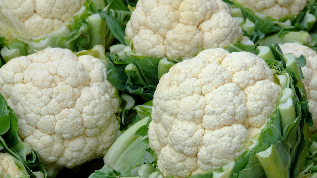Can Dogs Eat Cauliflower