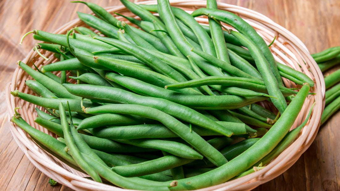 Can Dogs Eat Green Beans
