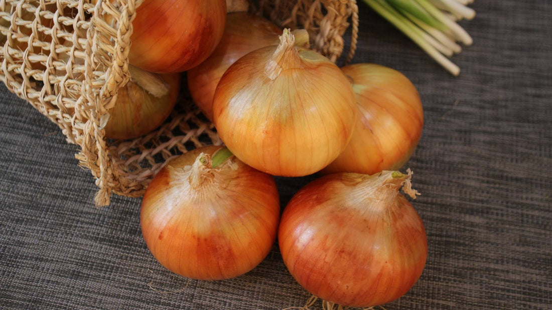 Can dogs eat onions