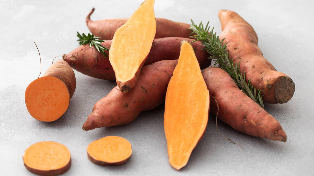 Can Dogs Eat Sweet Potato