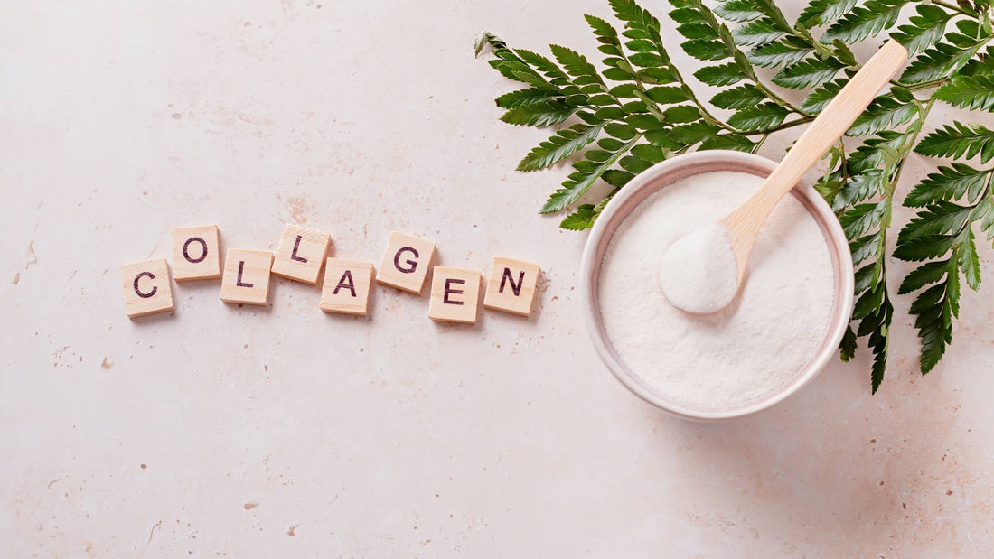 Collagen for dogs