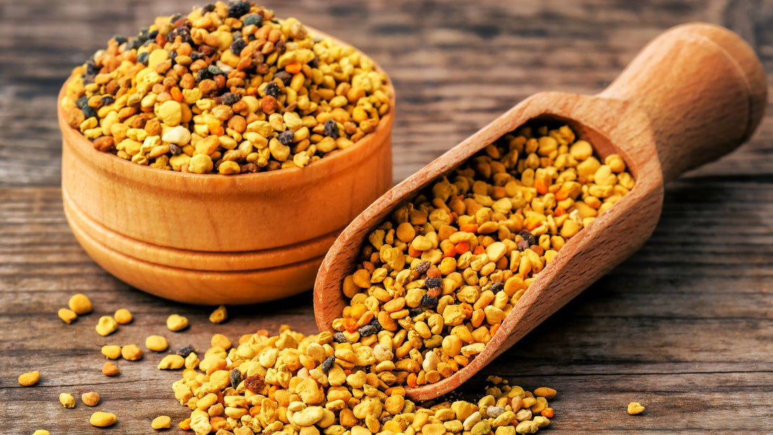 Is Bee Pollen Good for Dogs?