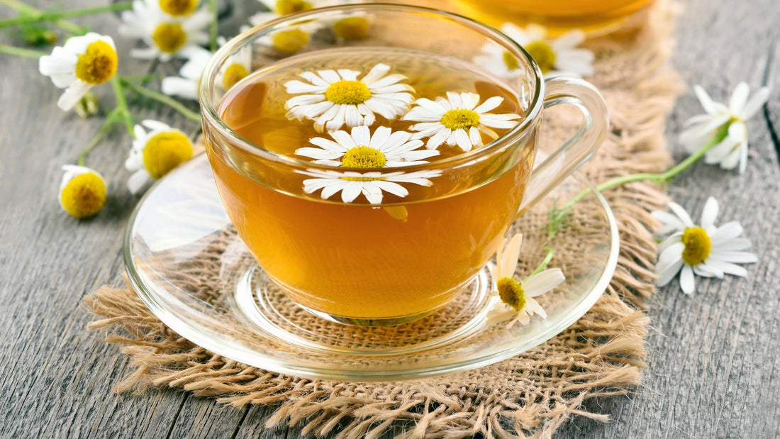 Is Camomile Safe for Dogs?