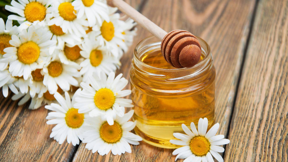 Is Honey Safe for Dogs?