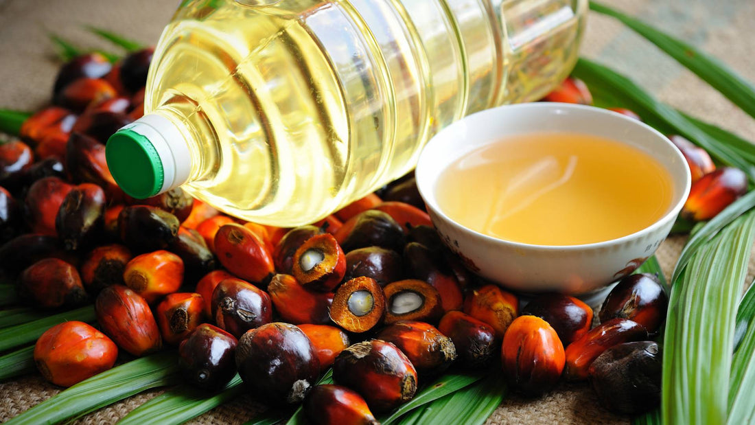 Is Palm Oil Toxic For Dogs