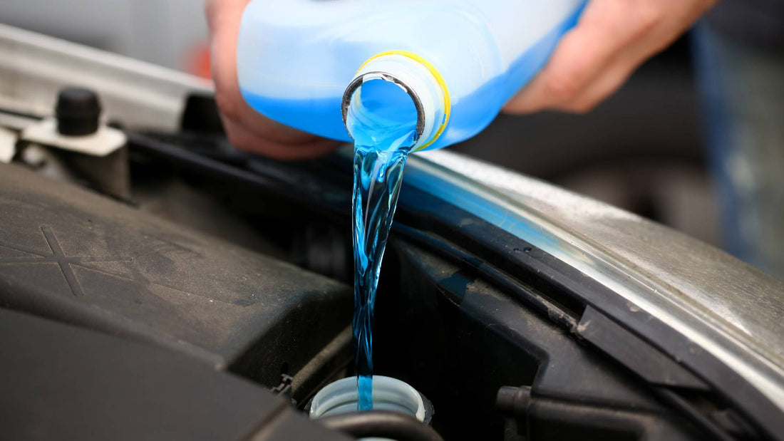 Is Screenwash Toxic to Dogs?