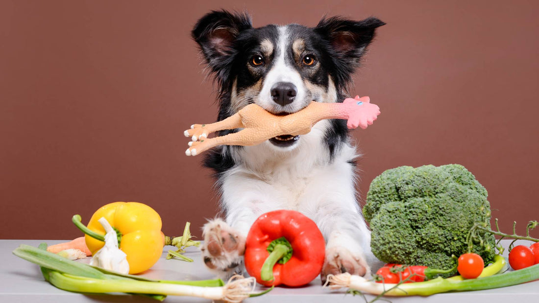 What vegetables can dogs eat