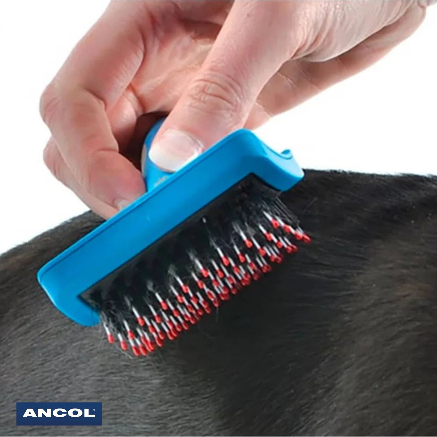 Ancol Ergo Hedgehog Slicker brushing dog