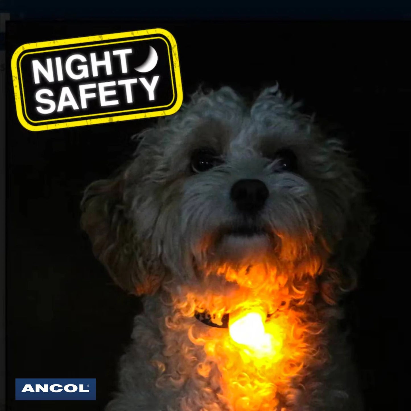 Ancol Soft Blinker Night Safety Light