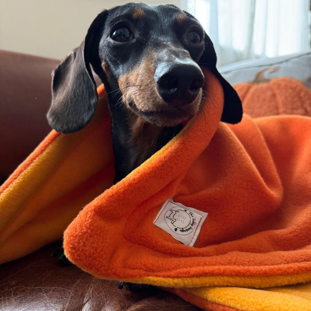 Luxury Polar Fleece Blanket