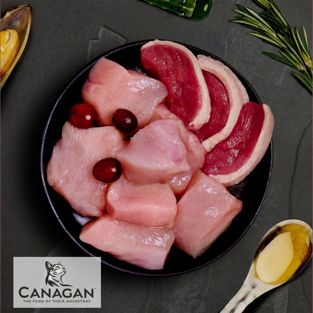 Canagan Chicken & Duck