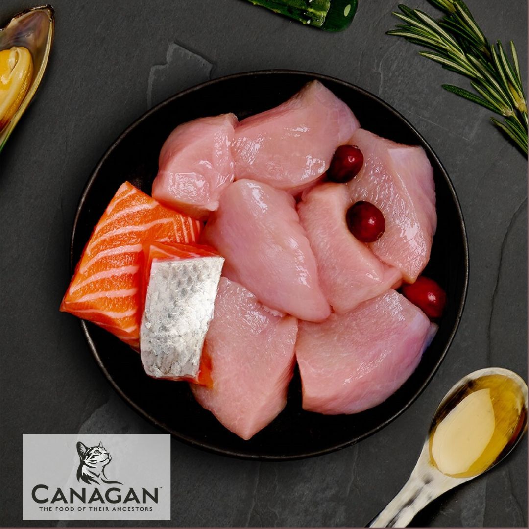 Canagan Chicken & Salmon
