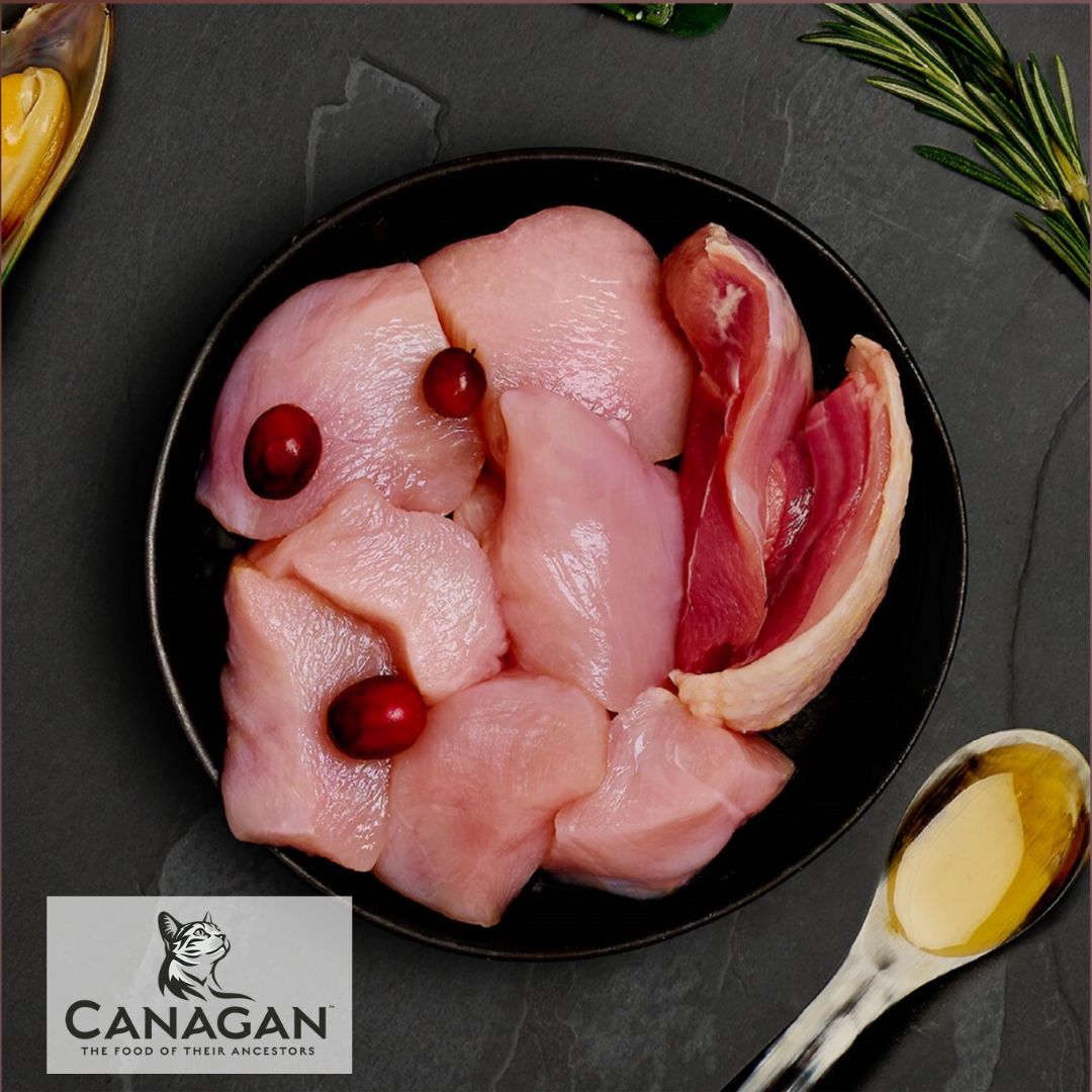 Canagan Chicken & Turkey