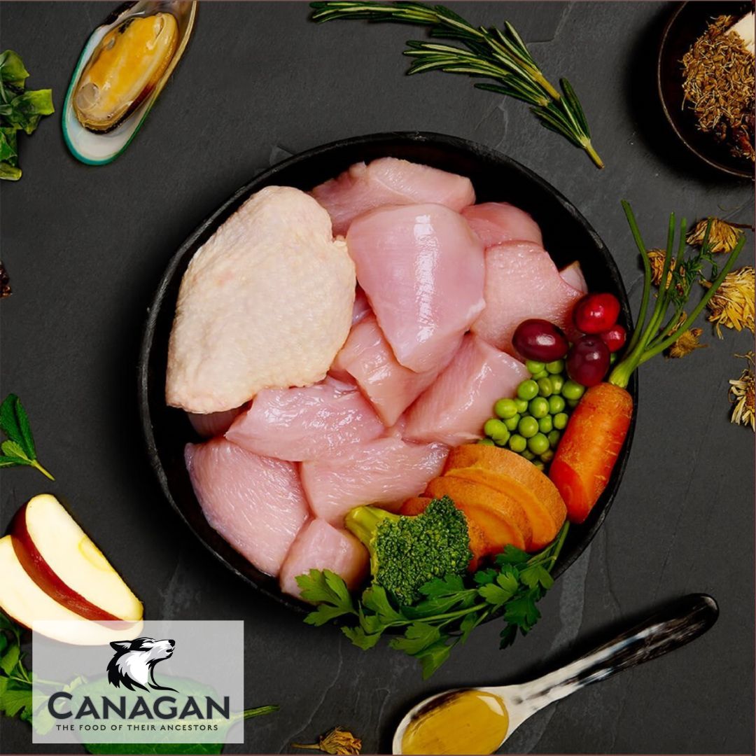 Canagan Senior Feast