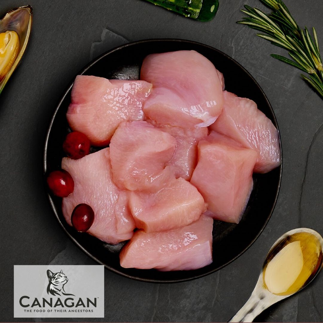 Canagan Free Run Chicken for Kittens