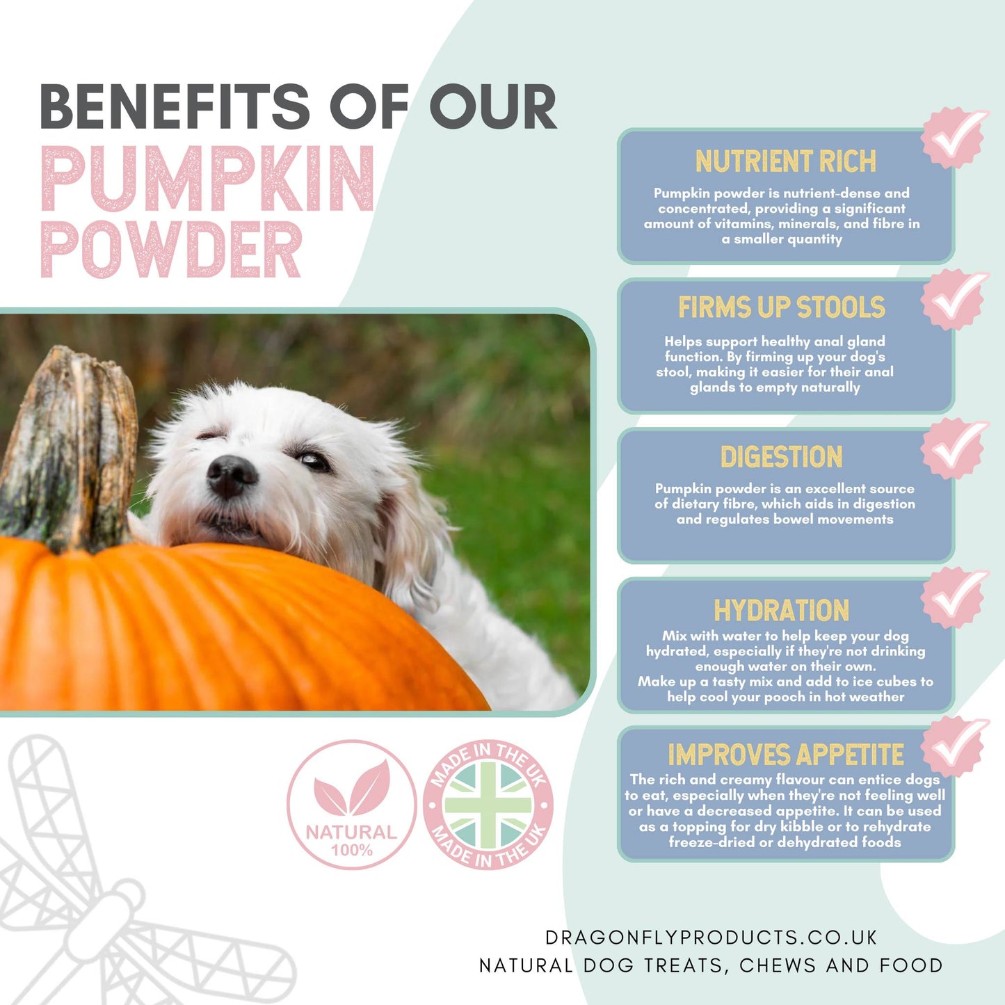 PUMPKIN POWDER BENEFITS