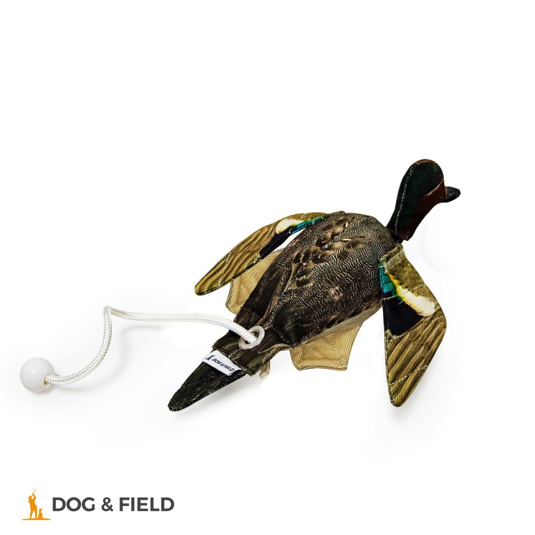 Dog & Field The Original Clone®️ Dead Bird Dummy – Teal