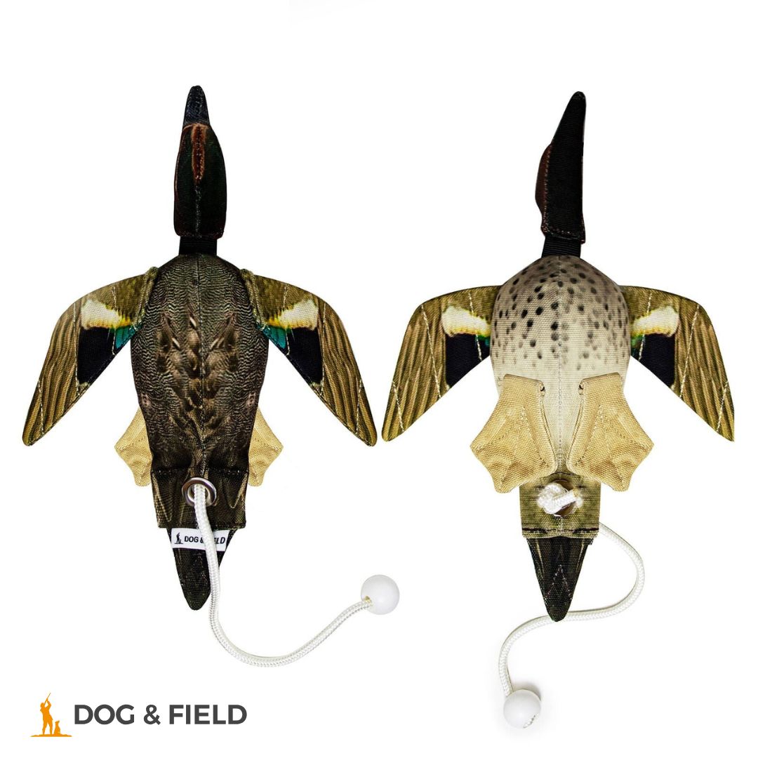 Dog & Field The Original Clone®️ Dead Bird Dummy – Teal