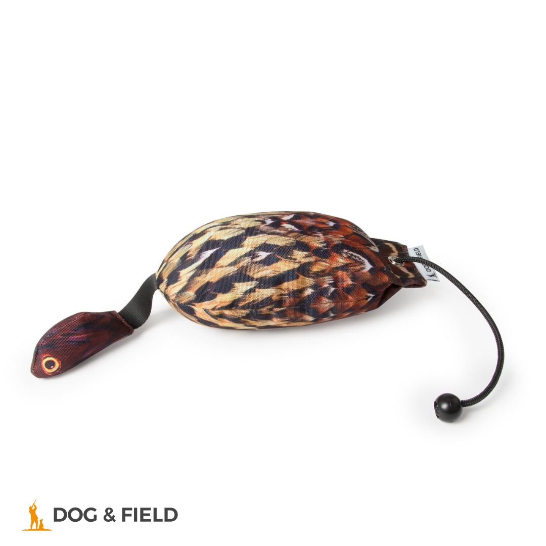 Dog & Field The Original Clone®️ Pheasant Bird Dummy