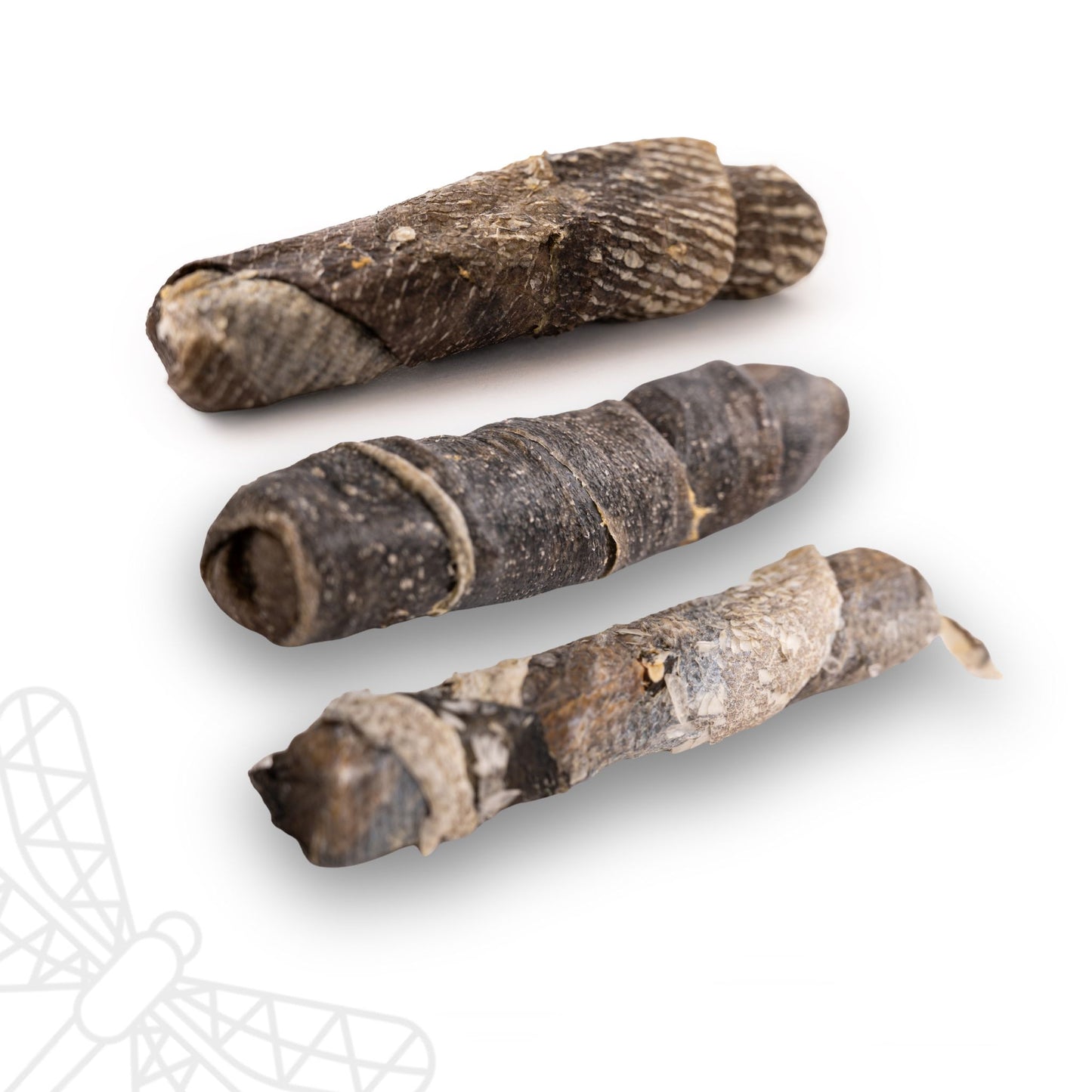 Fish Skin Throw Sticks