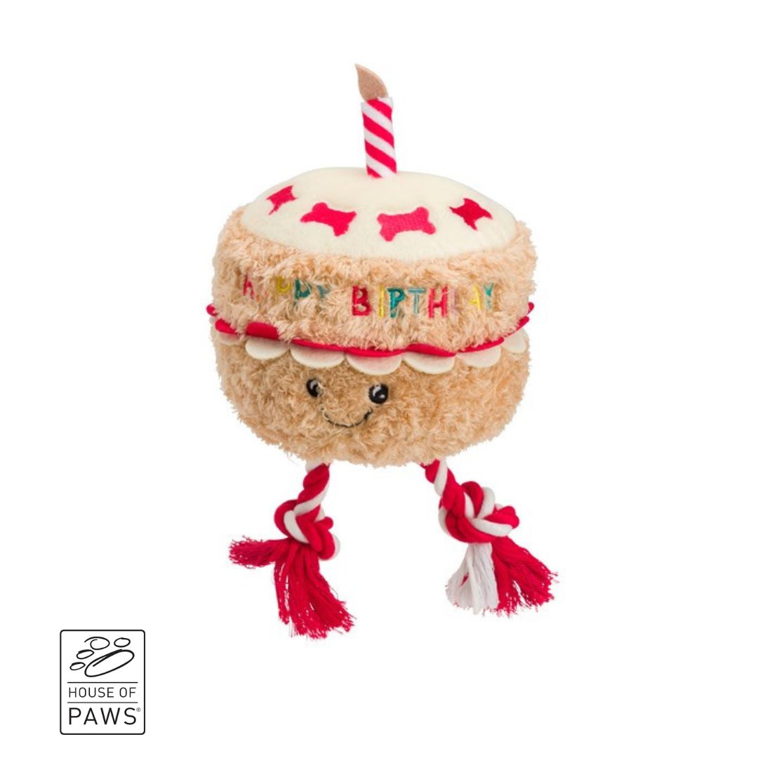 House of Paws Birthday Cake with Rope Plush Toy