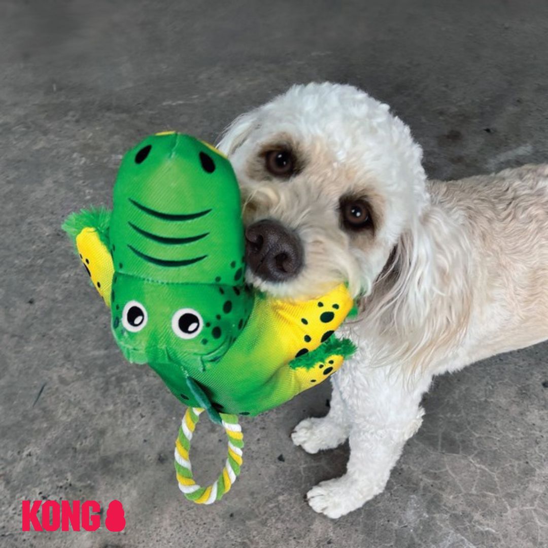 KONG Cozie Tuggz