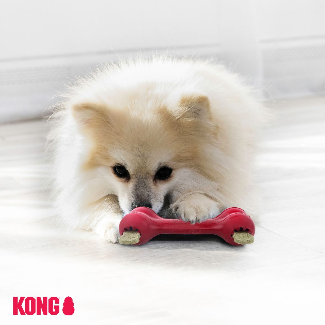 KONG Goodie Bone
