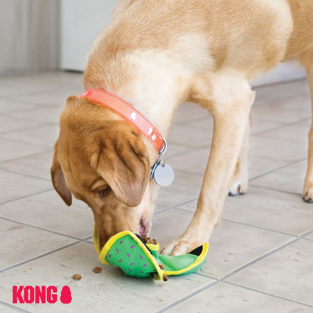 KONG Hide 'n' Treat Ballistic