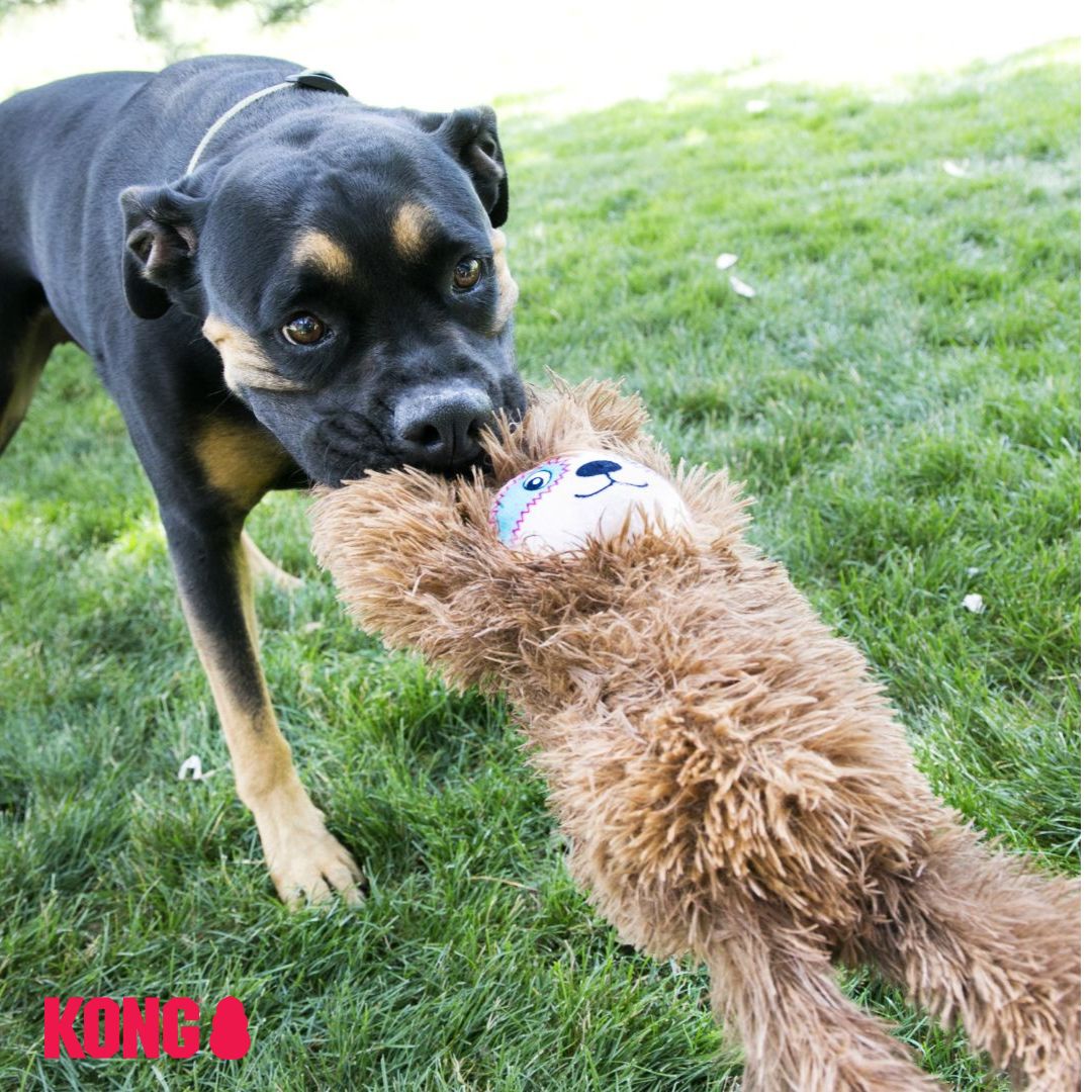 KONG Tuggz Sloth