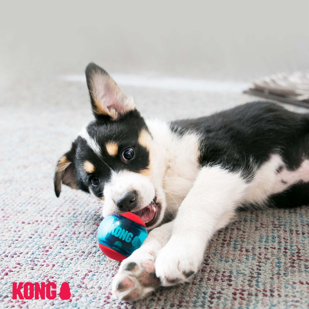 KONG Squeezz™ Action Ball