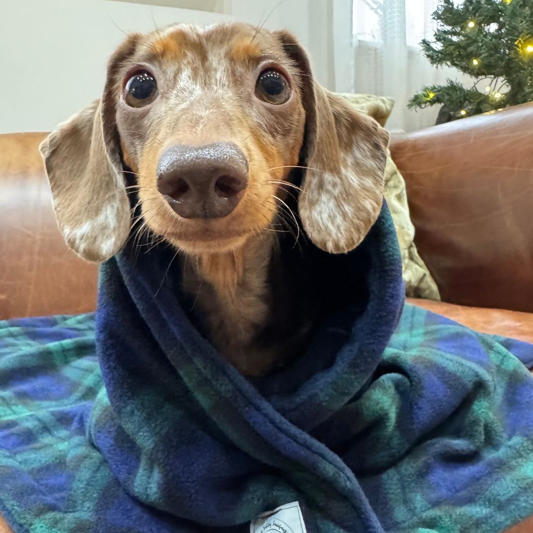 Luxury Polar Fleece Blanket