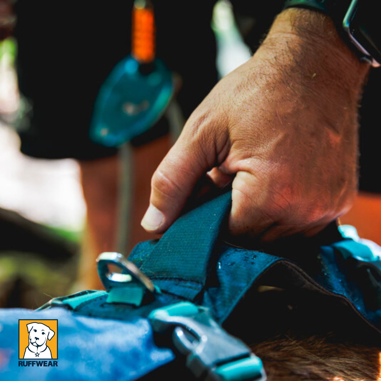 Ruffwear Flagline Harness