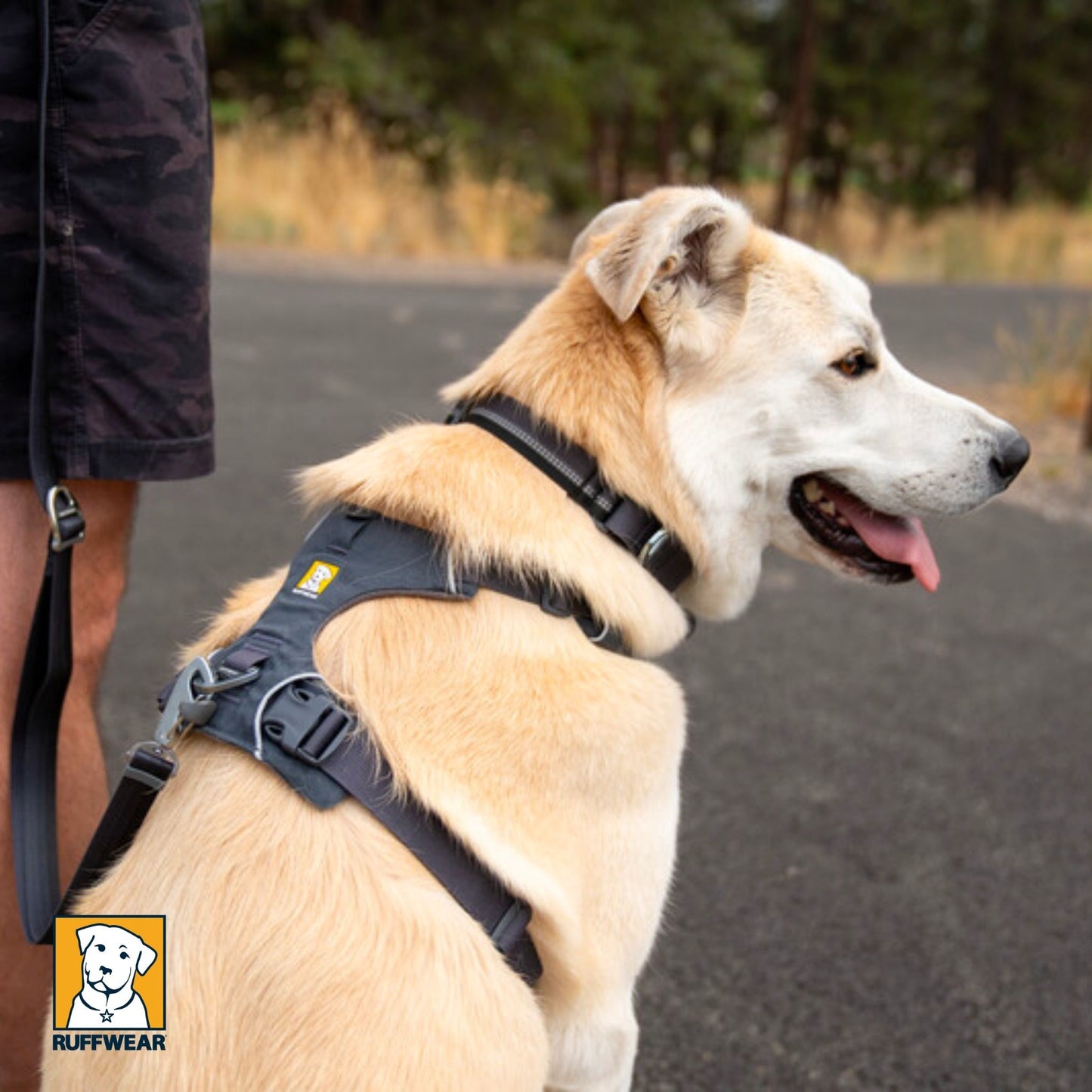 Ruffwear Front Range Harness Basalt Grey On Dog