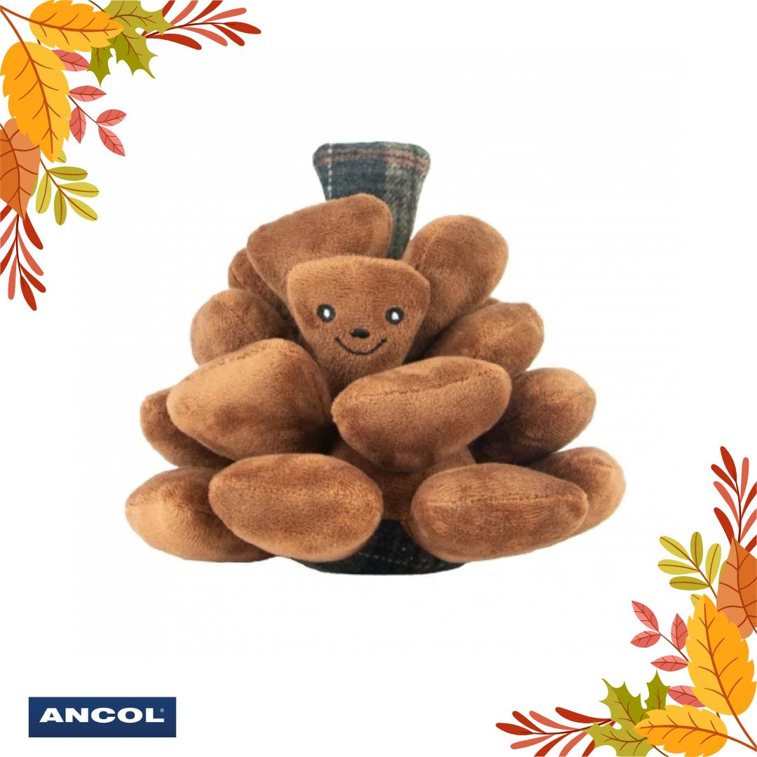 Ancol Heritage Peter Pine Cone