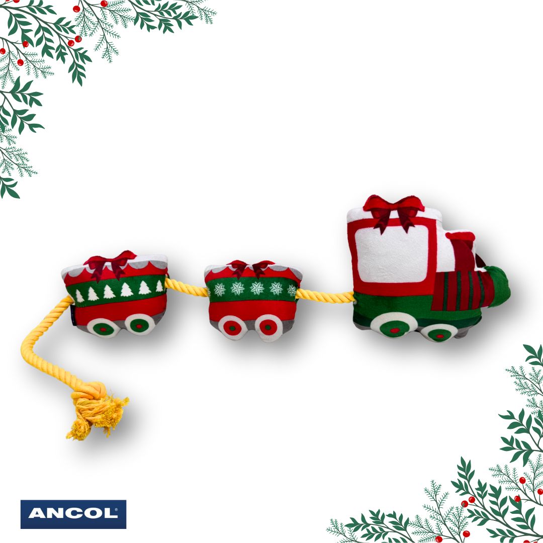 Ancol Christmas Express