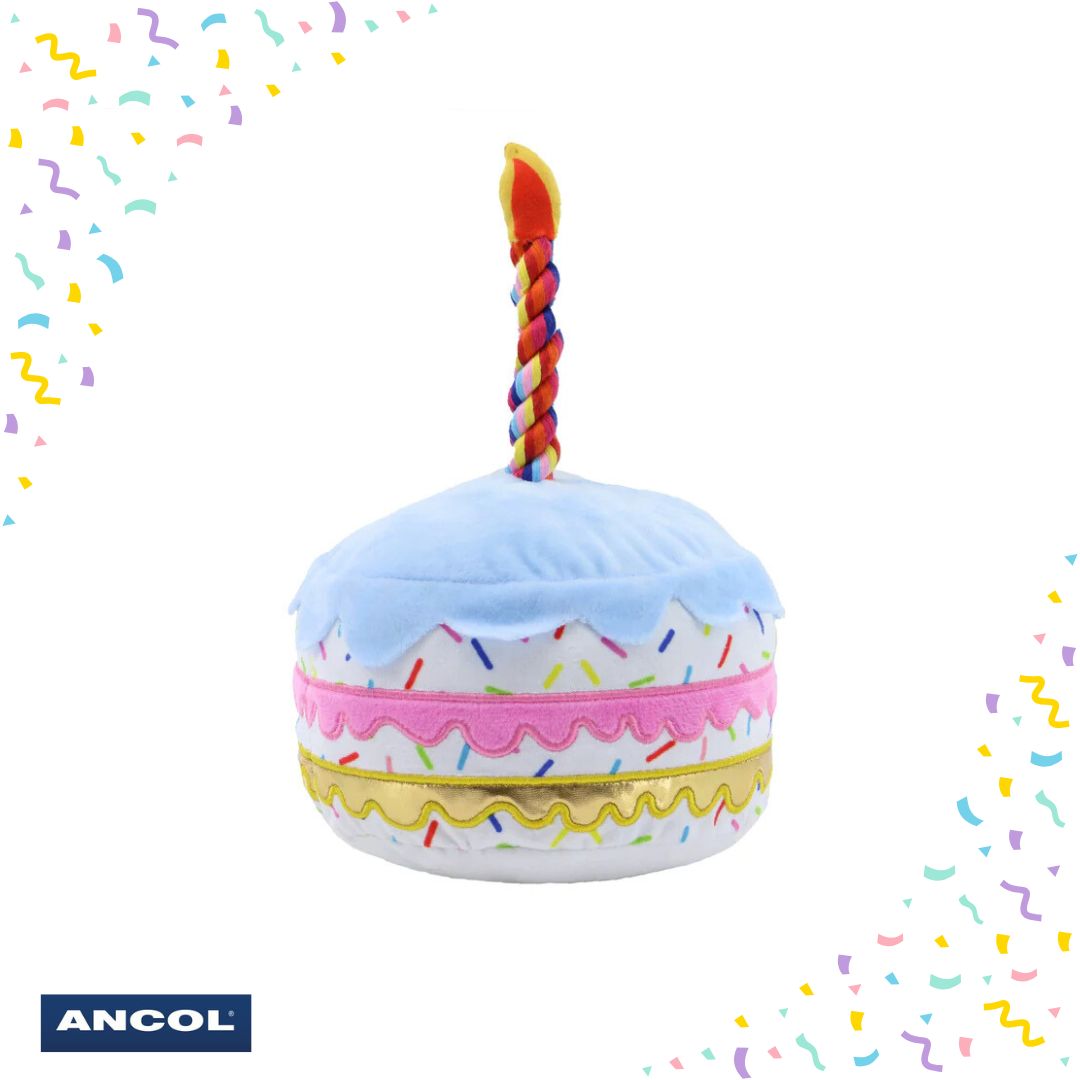 Ancol Pawty Sprinkle Cake