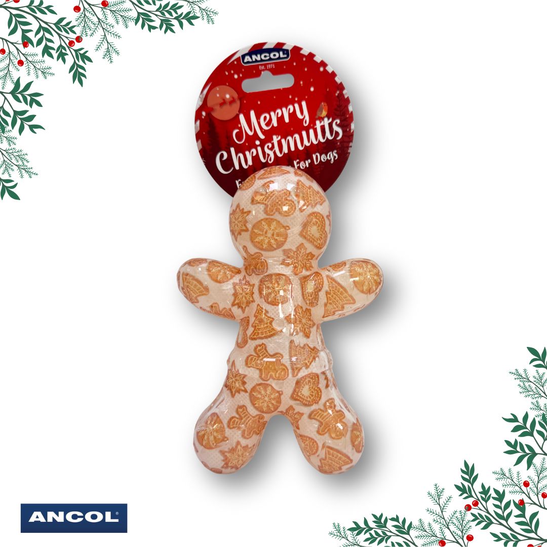 Ancol Squeaky Gingerbread