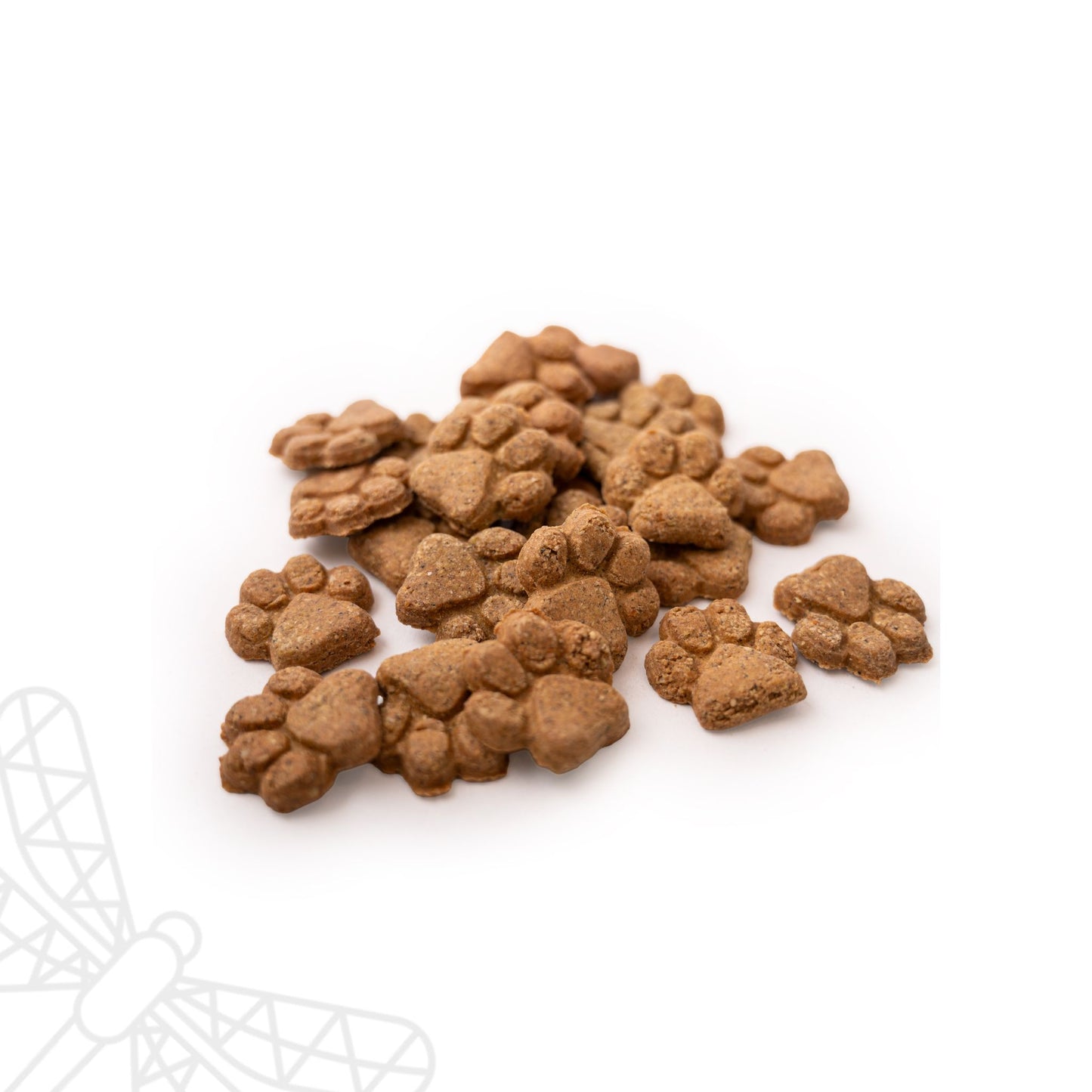 Biscuit Bites