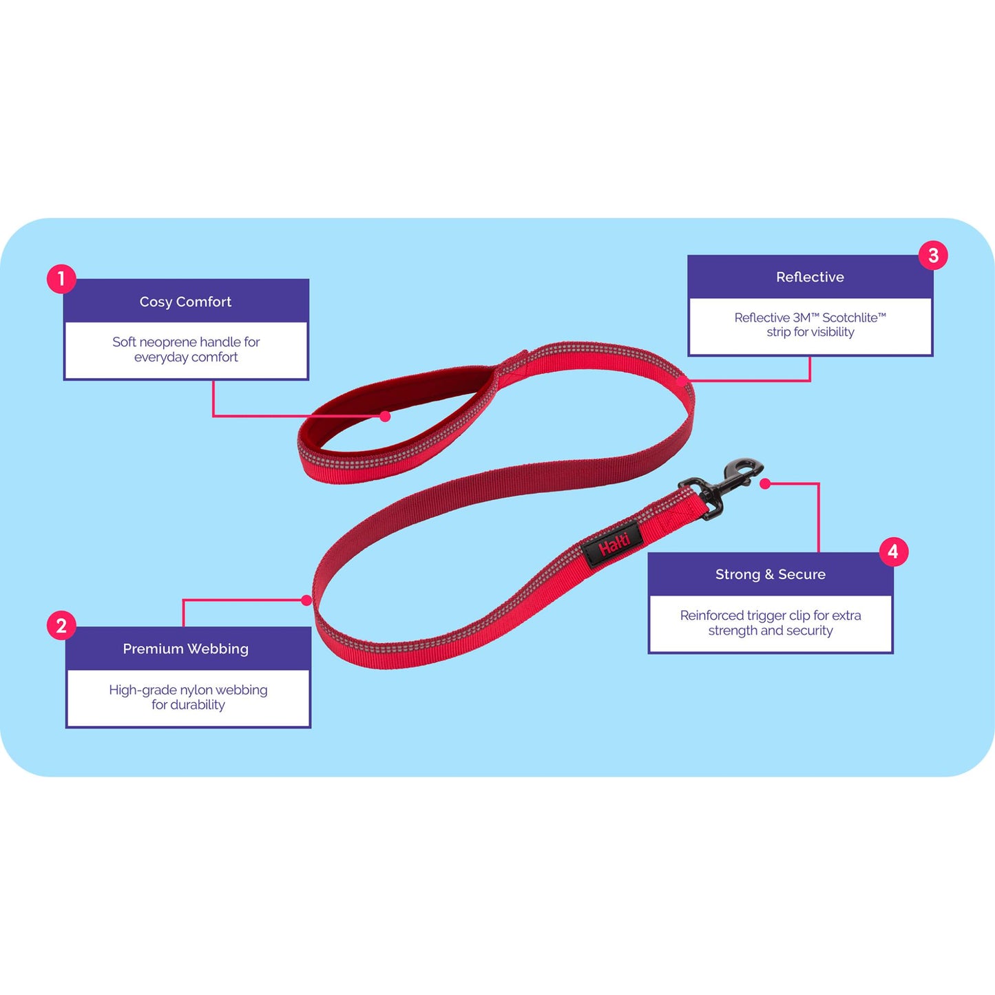 Halti dog lead guide to use