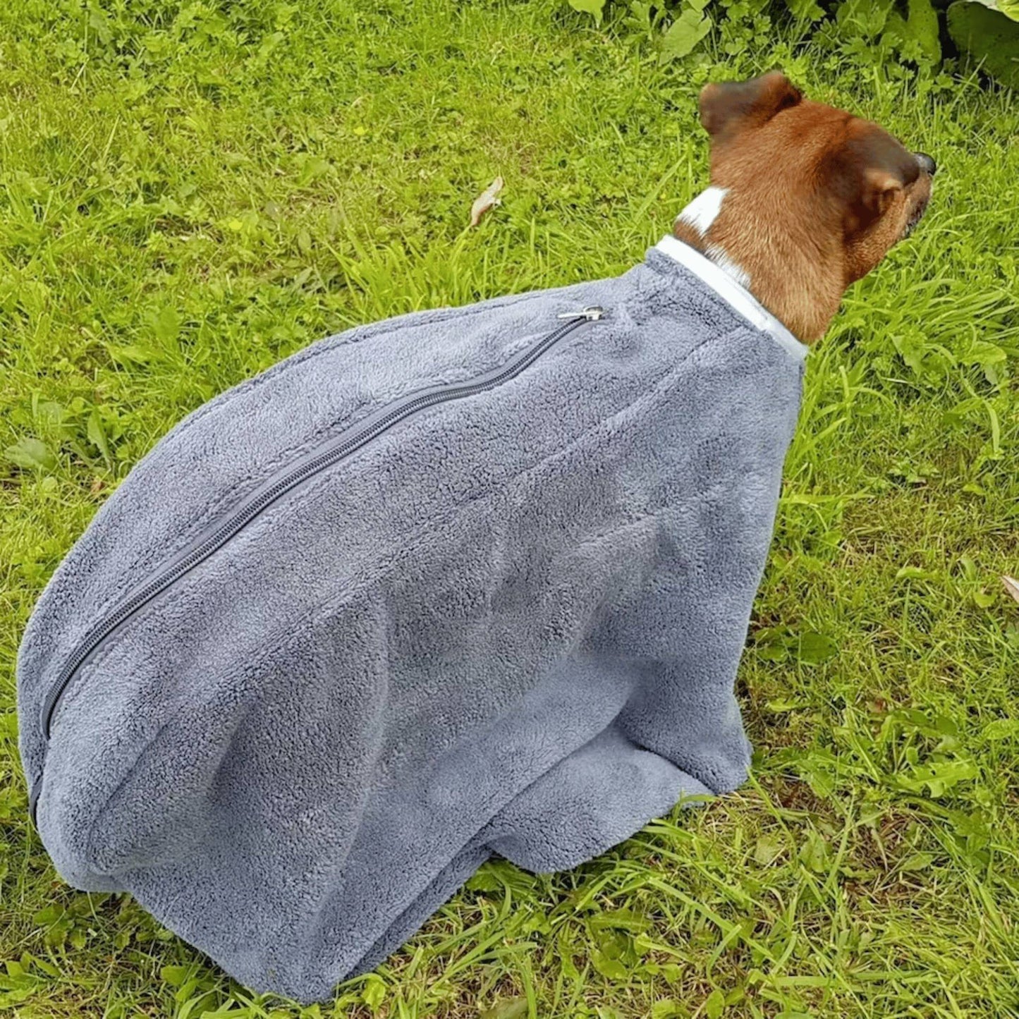 Henry wag drying bag on dog