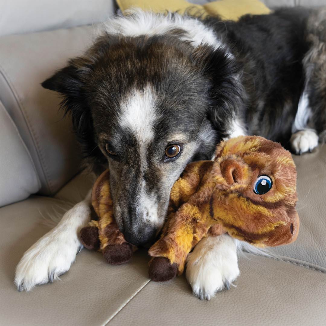 KONG Low Stuff Stripes