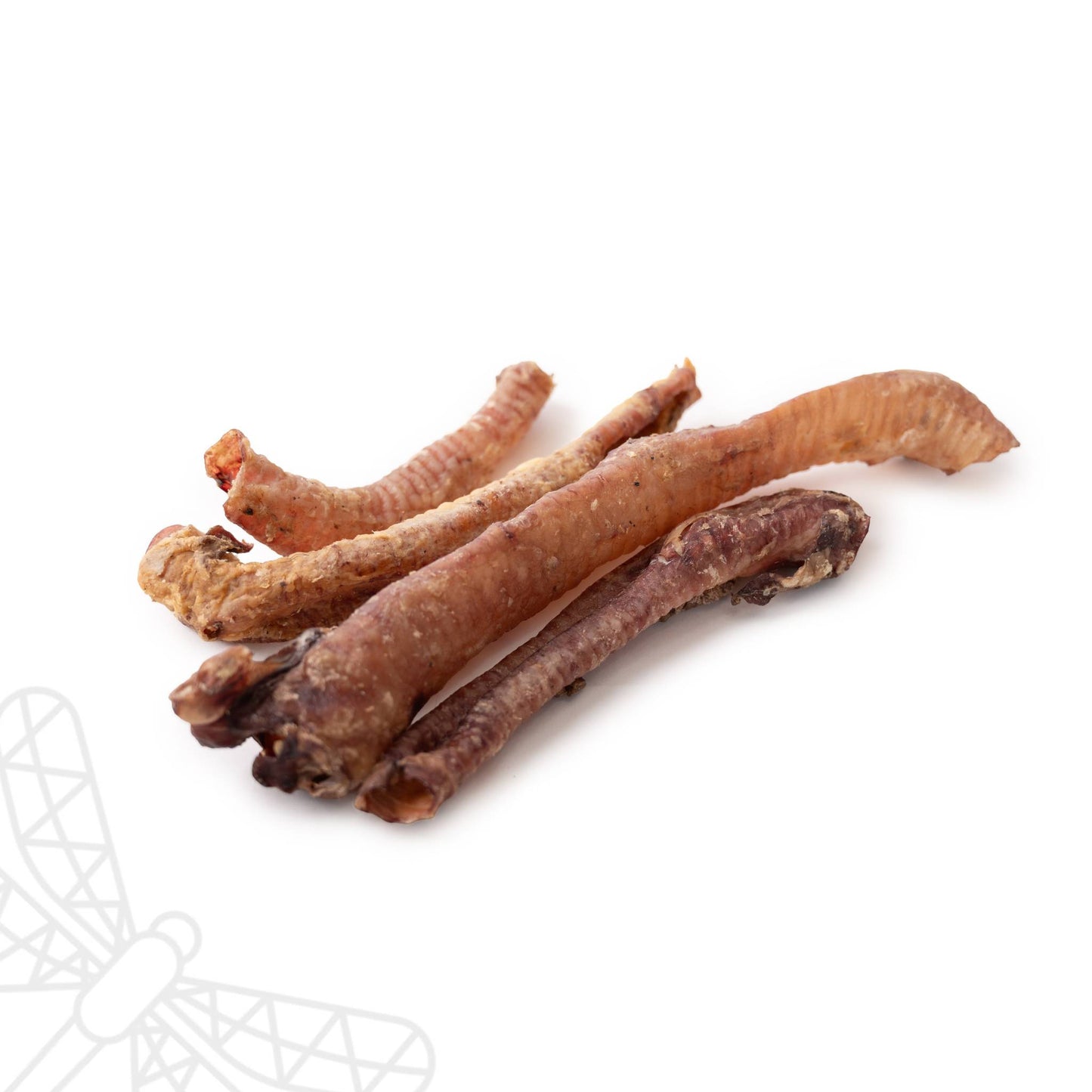 lamb trachea dog chew