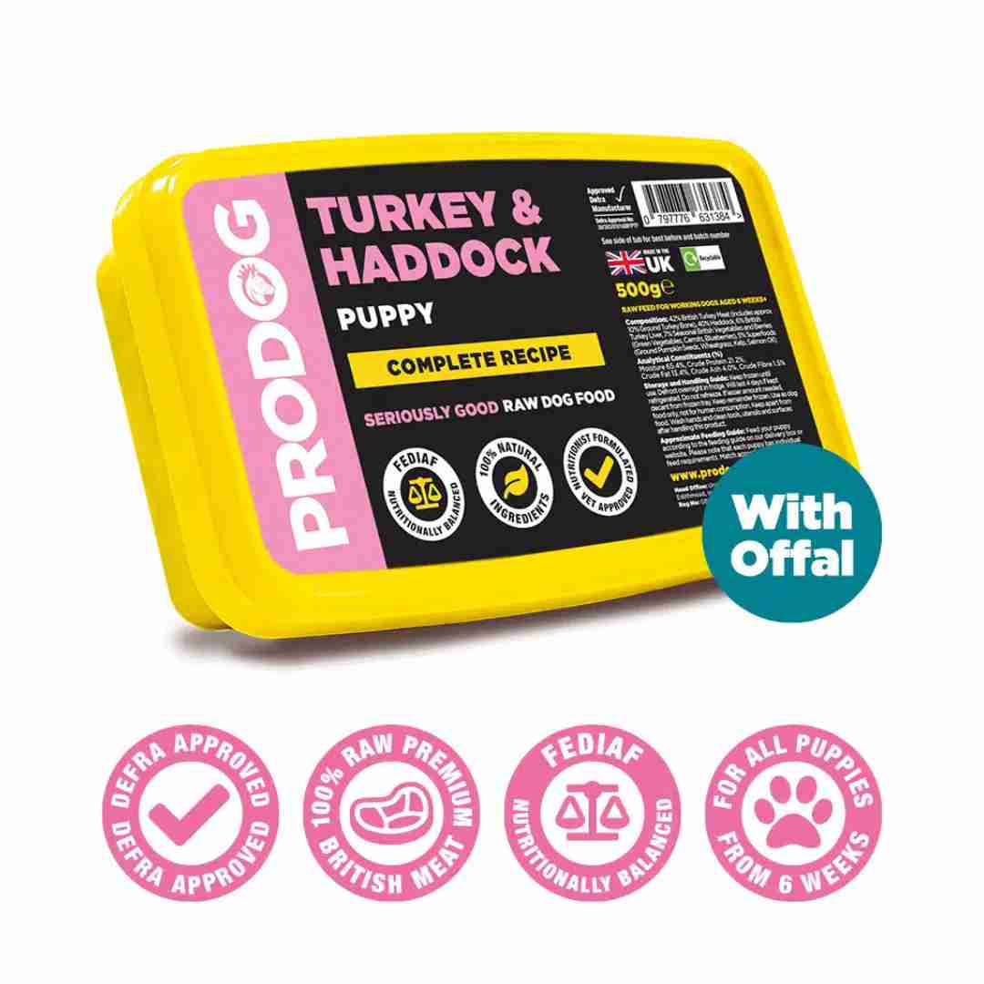 ProDog Raw Puppy Turkey & Fish Complete