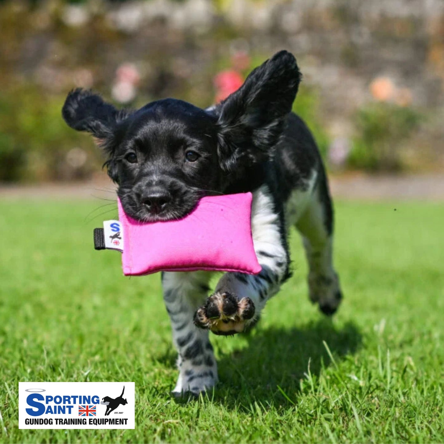 Sporting Saint Puppy Training Dummy