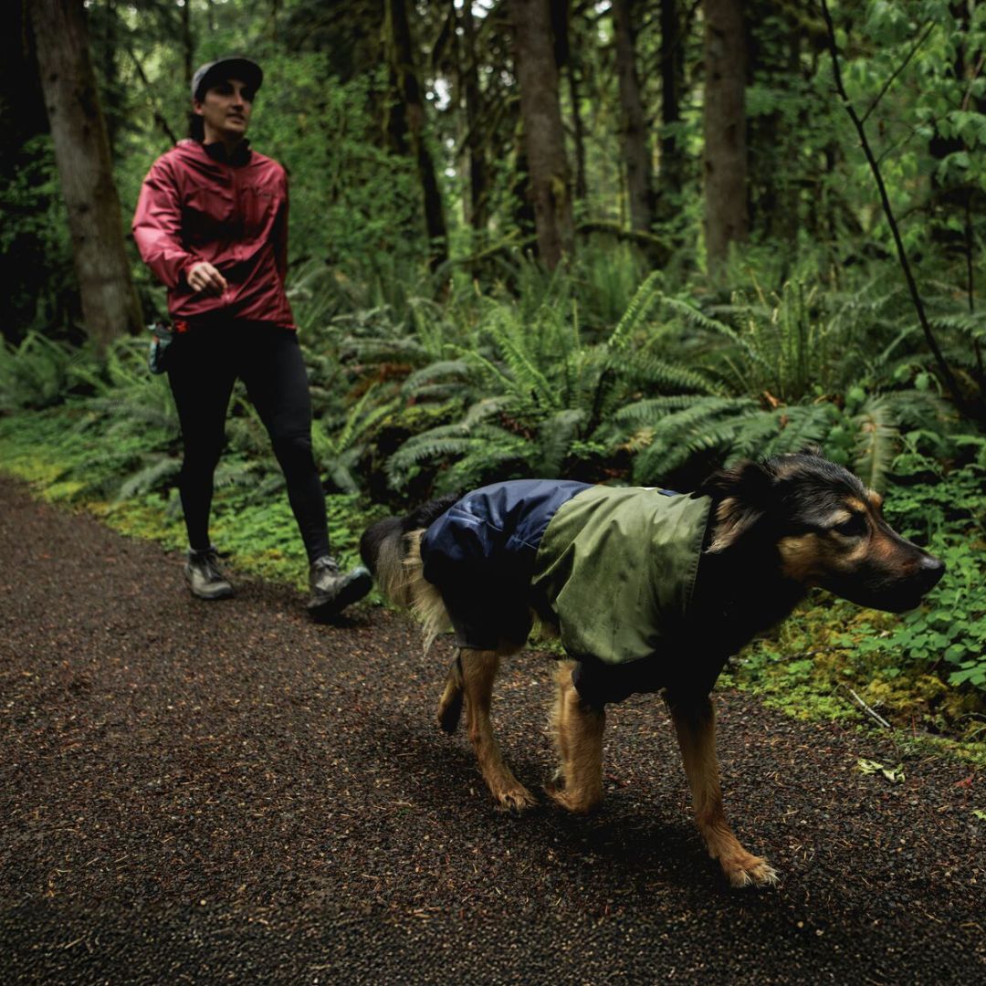 Ruffwear Sun Shower Dog Raincoat
